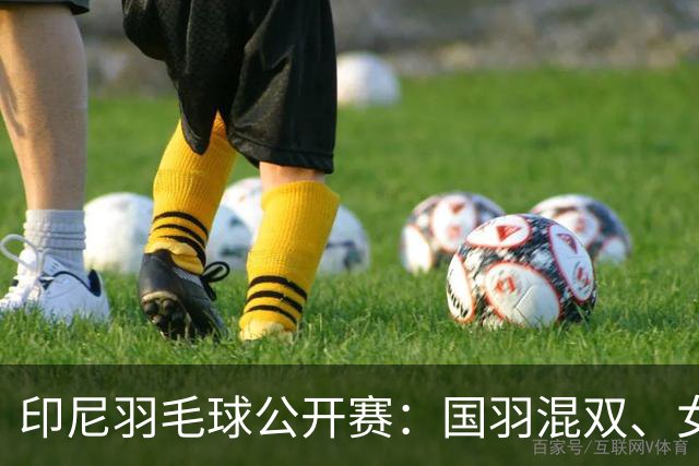 印尼羽毛球公开赛：国羽混双、女双晋级决赛